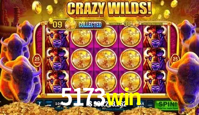 5173win