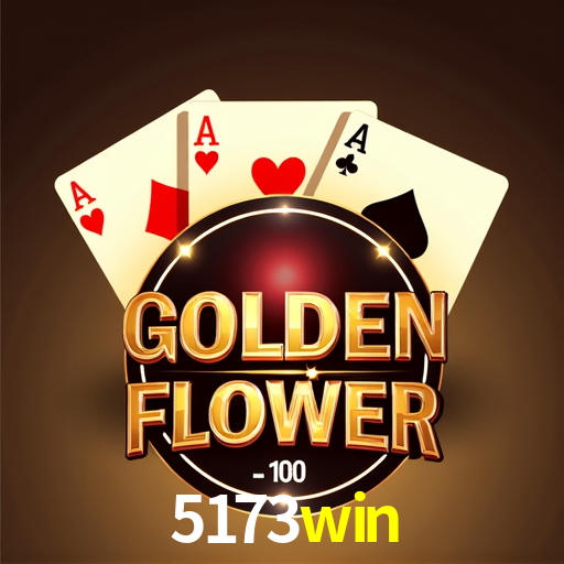 5173win.com